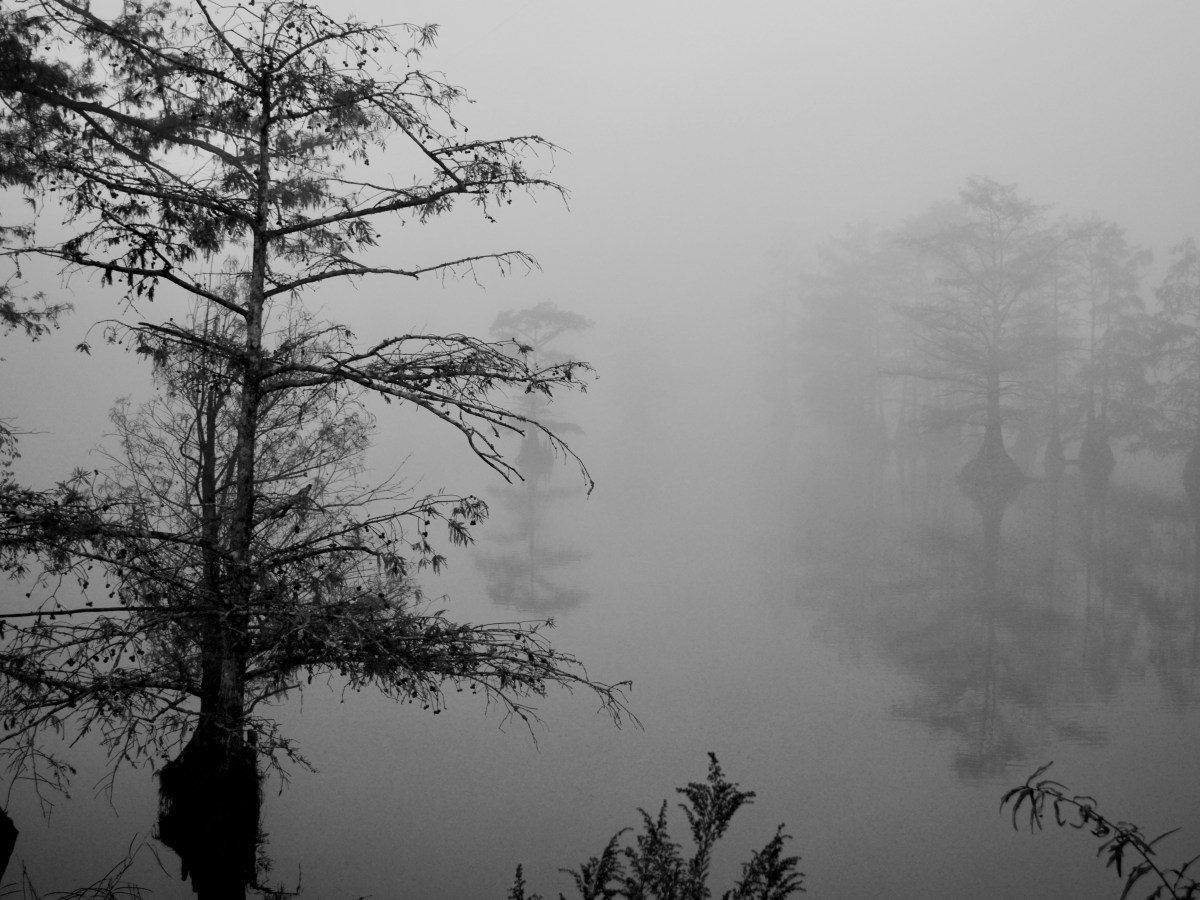 Short story – Get out of the&nbsp;box